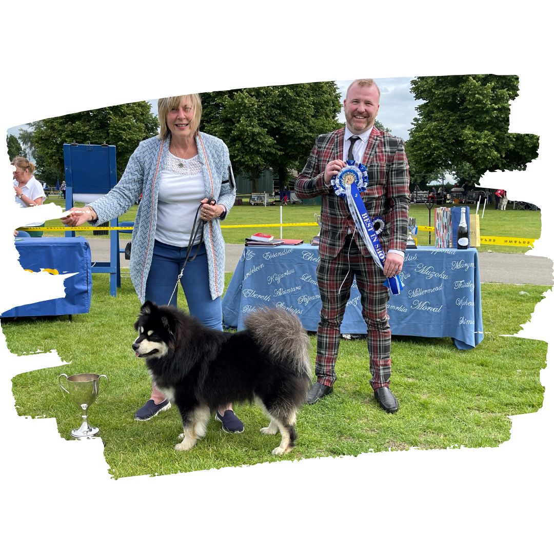Results of our 18th Breed Open Show – Judge Mr Neil Hood [Buhcafrey]